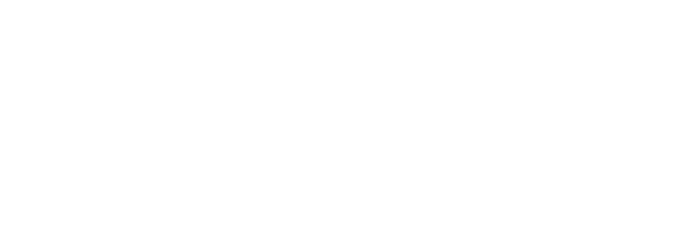 100 anni albo ingegneri